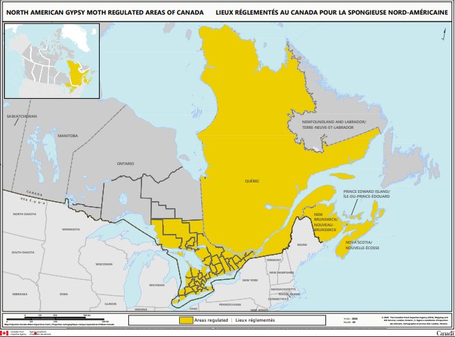 North American gypsy moths regulated areas of Canada map